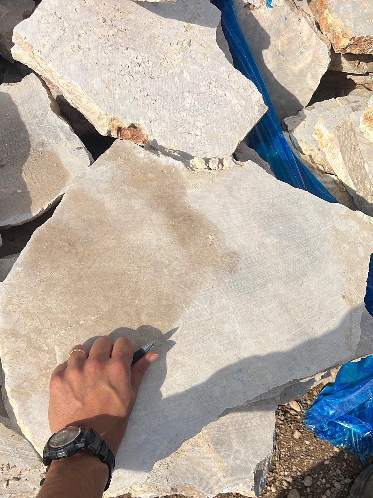 אבן מדרך מחיר natural stepping stone