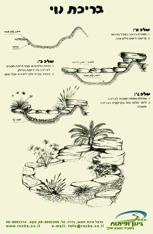 איך לתכנן בריכת נוי בחצר