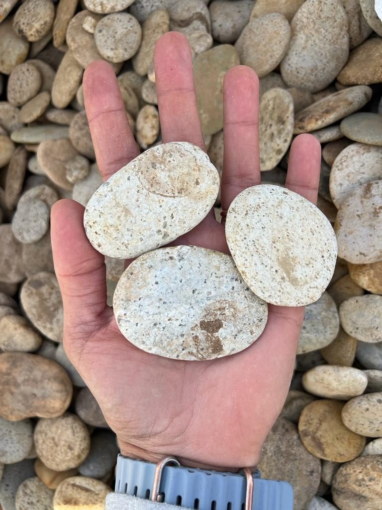 חלוקי נחל שטוחים בהירים white flat pebbles