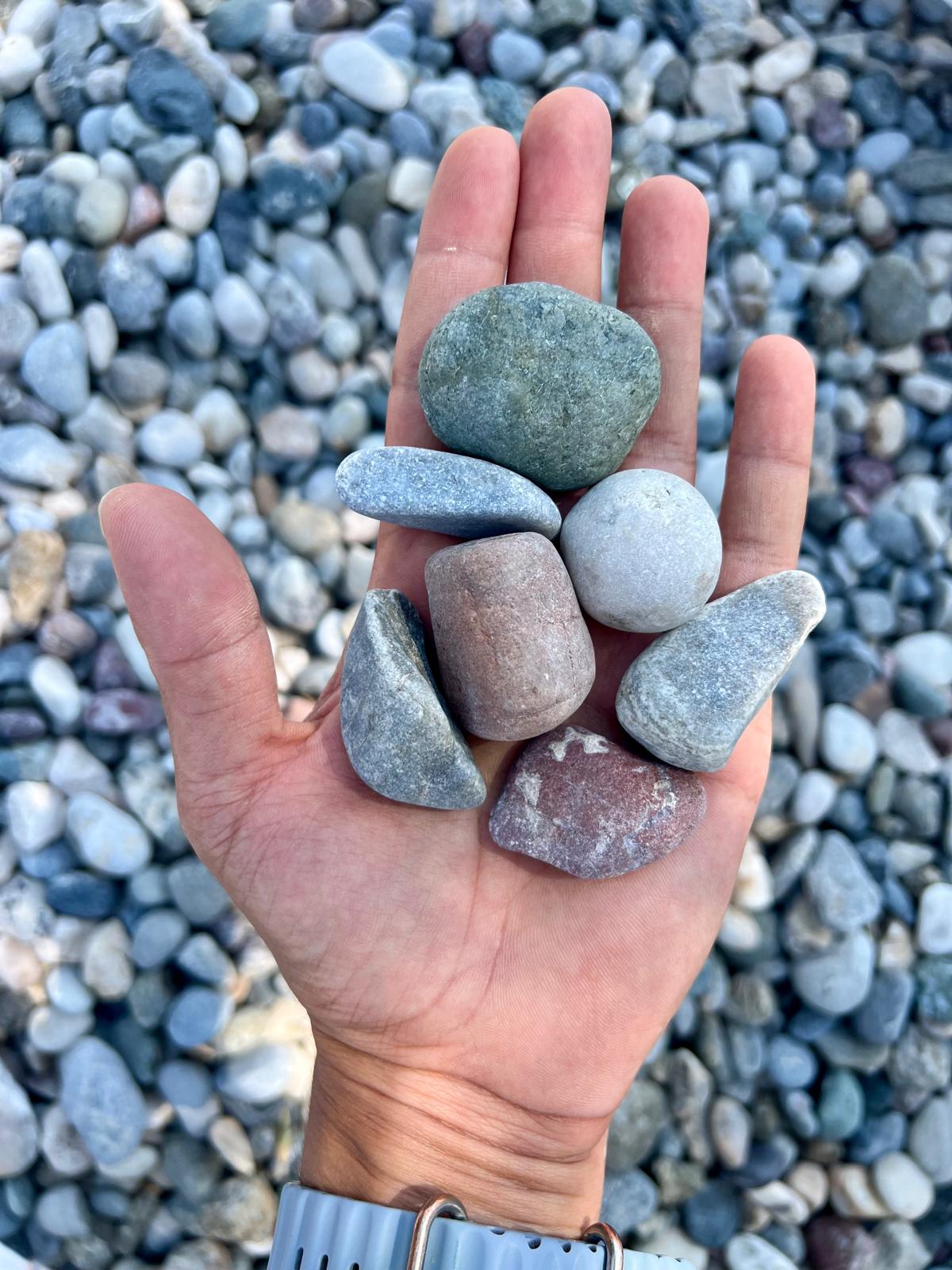 beautiful pebbles חלוקי נחל יפים לגינה